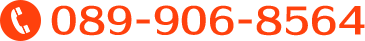 089-906-8564