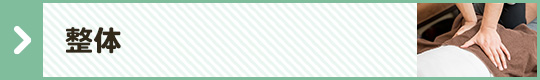 整体